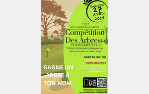 Compétition Des Arbres - Tournament 1/3 